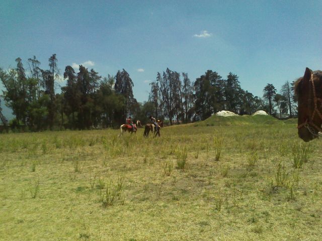 PASEO EN CABALLO